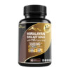Gélules de Shilajit